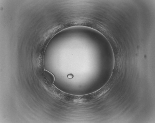 X0000056330216200508261229