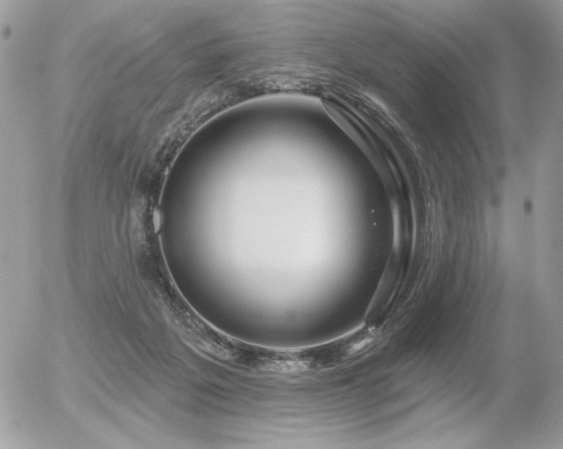 X0000056330217200508261229