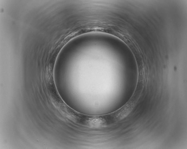 X0000056330218200508261229