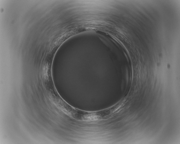 X0000056330219200508261229