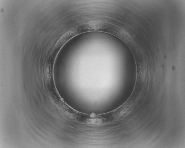 X0000056330220200508261229