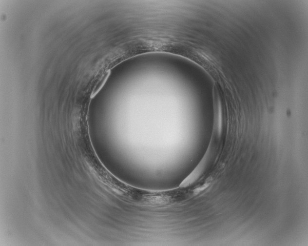 X0000056330221200508261229