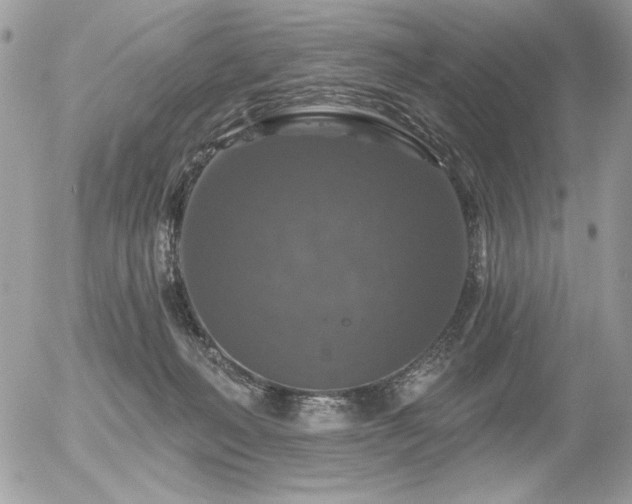 X0000056330222200508261229