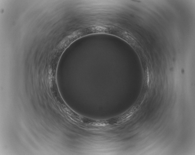 X0000056330223200508261229