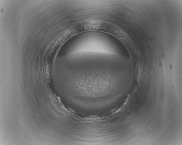 X0000056330224200508261229