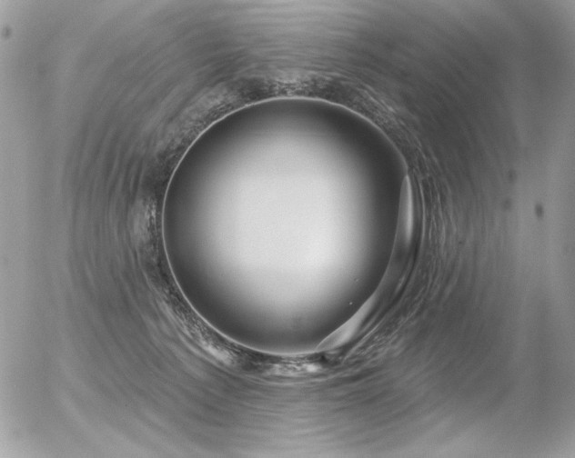 X0000056330225200508261229