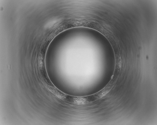 X0000056330226200508261229