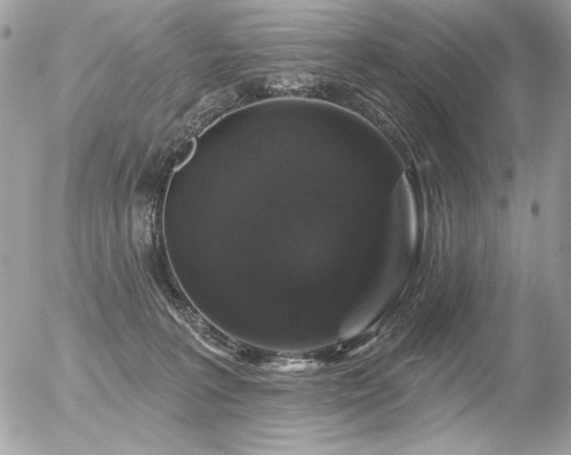 X0000056330227200508261229