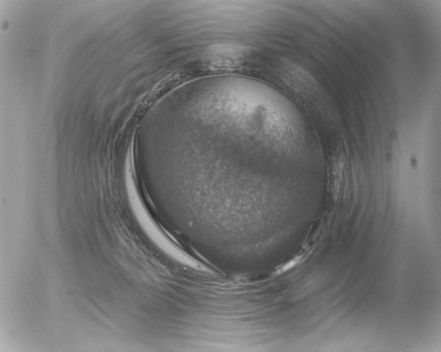 X0000056330228200508261229