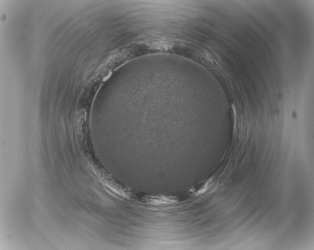 X0000056330229200508261229