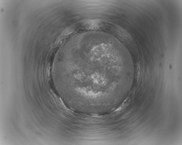 X0000056330230200508261229