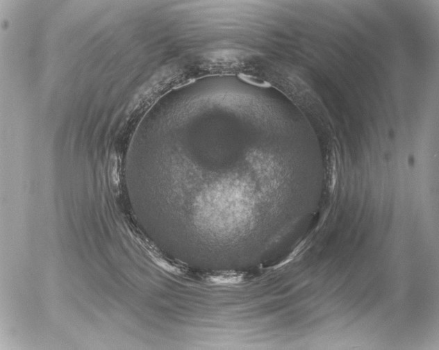 X0000056330232200508261229