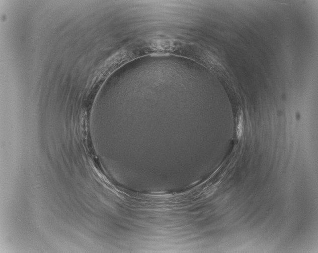 X0000056330233200508261228