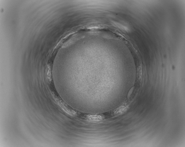 X0000056330234200508261228