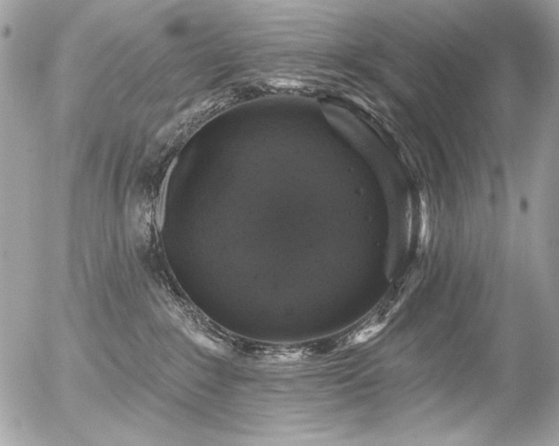 X0000056330235200508261228