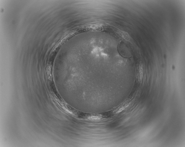 X0000056330236200508261228