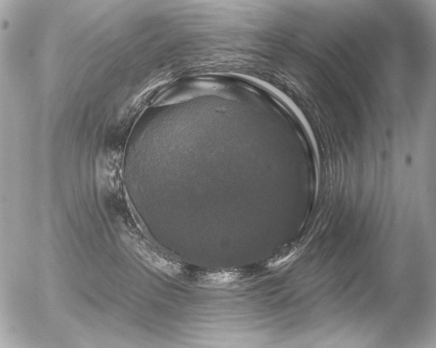 X0000056330237200508261228