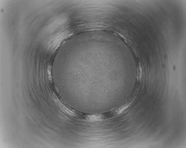 X0000056330238200508261228