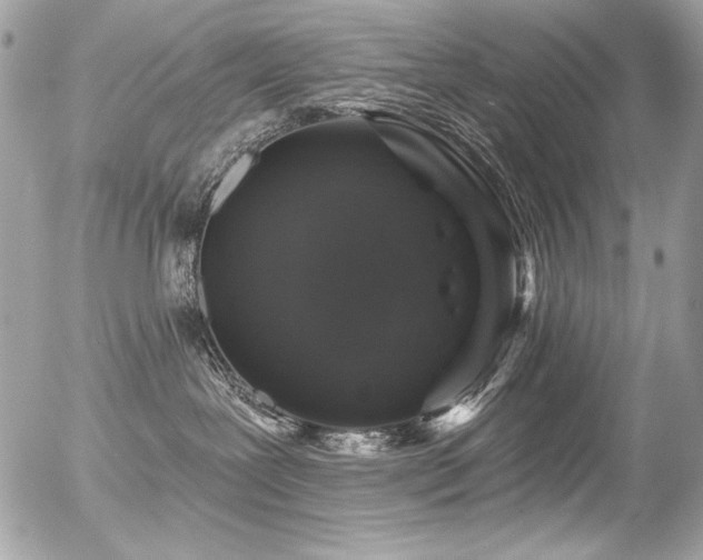 X0000056330239200508261228