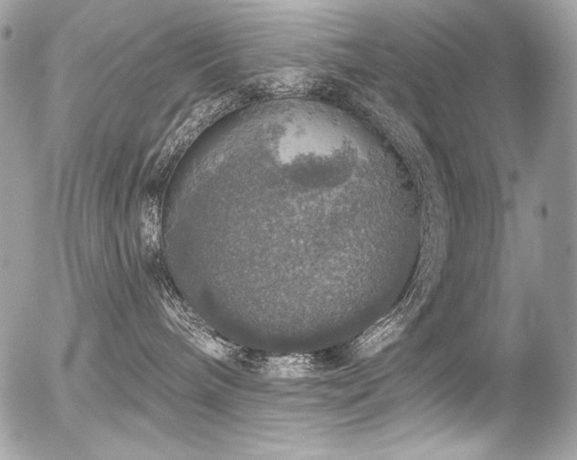 X0000056330240200508261228