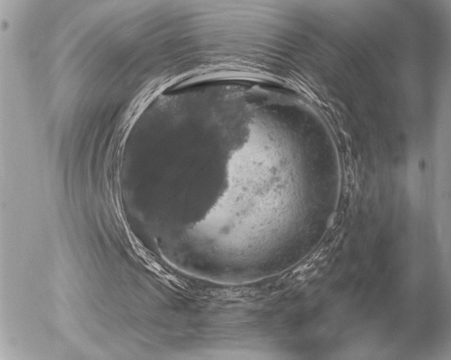 X0000056330241200508261228