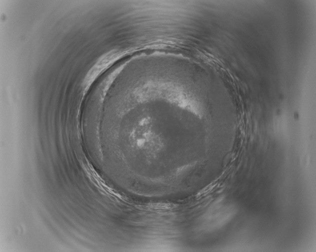 X0000056330242200508261228