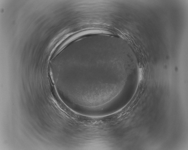 X0000056330243200508261228