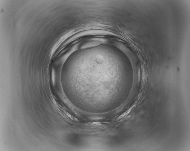 X0000056330244200508261228