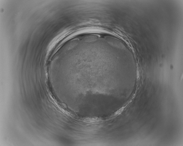 X0000056330245200508261228