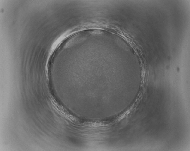 X0000056330246200508261228