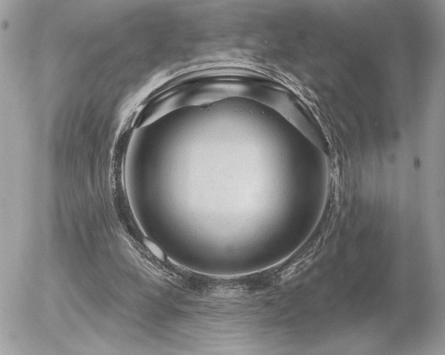 X0000056330248200508261228