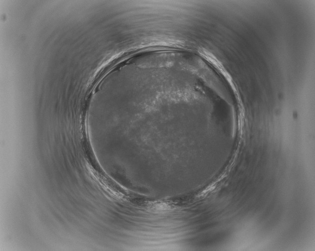 X0000056330249200508261228