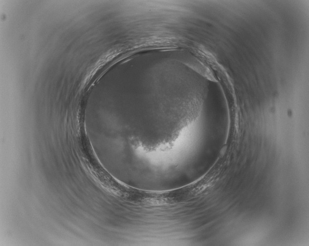 X0000056330250200508261228