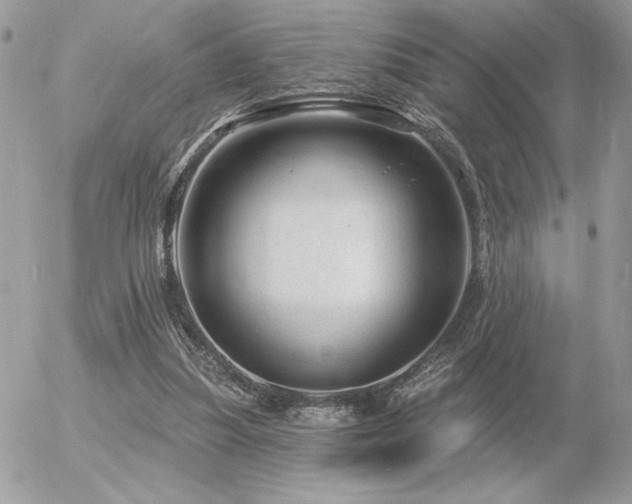 X0000056330251200508261228