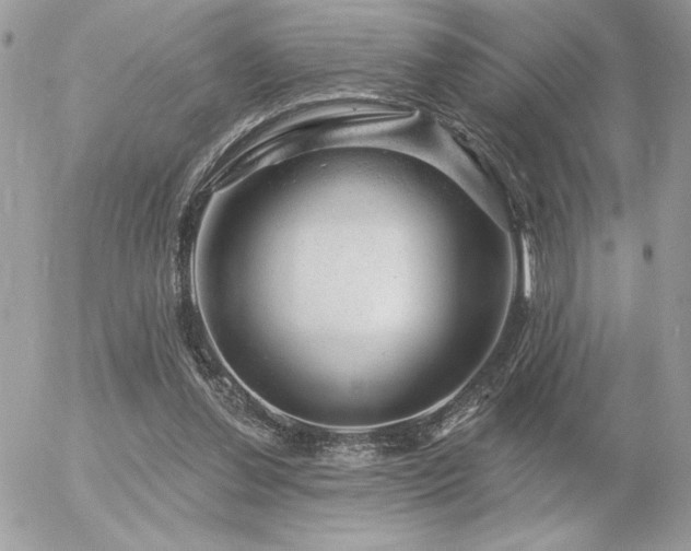 X0000056330252200508261228