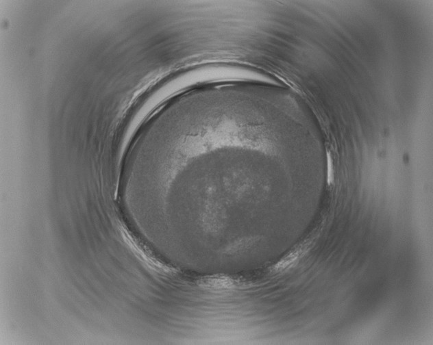 X0000056330253200508261228