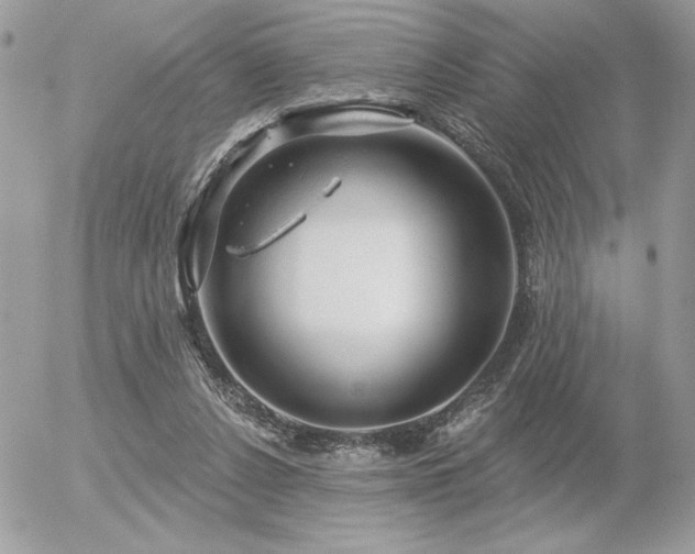 X0000056330256200508261228