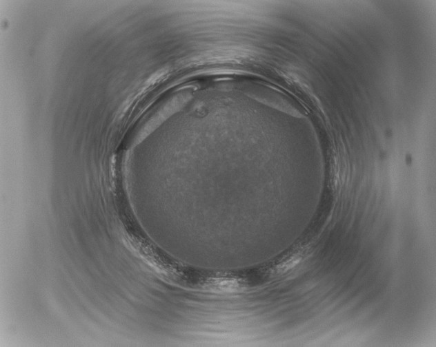 X0000056330260200508261228