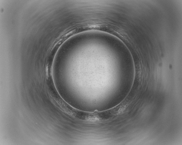 X0000056330262200508261228