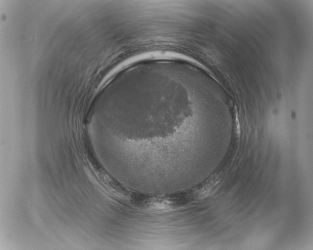 X0000056330263200508261228