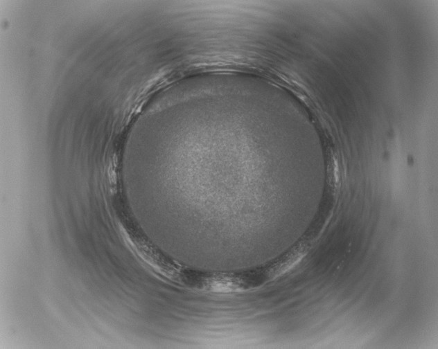 X0000056330264200508261228