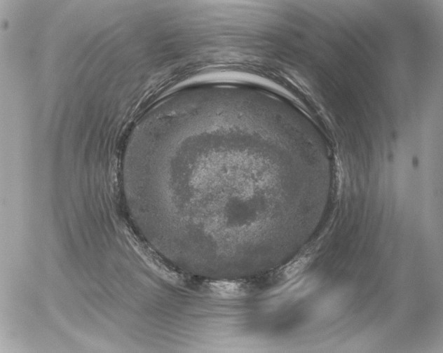 X0000056330265200508261228