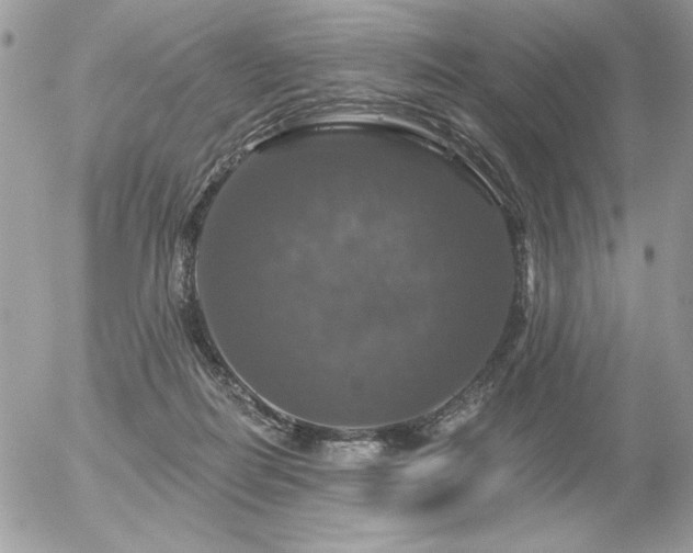 X0000056330266200508261228