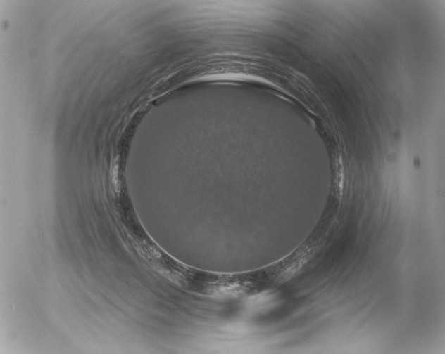 X0000056330267200508261228