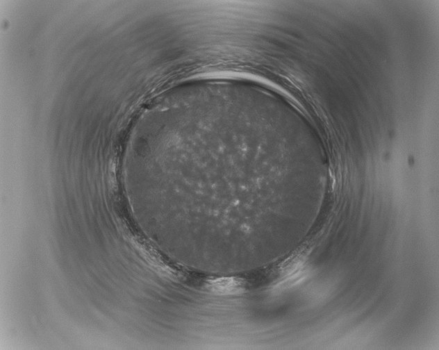 X0000056330269200508261228