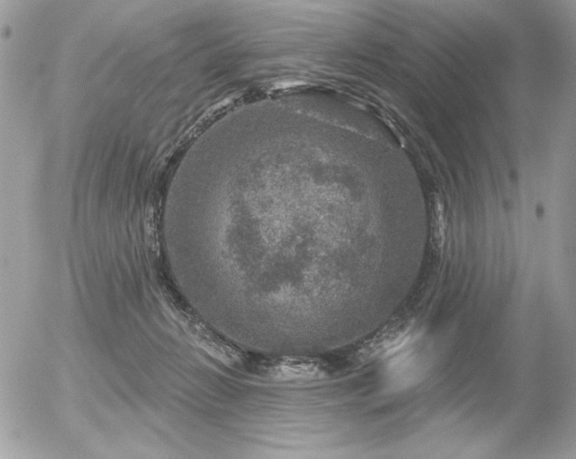 X0000056330270200508261228