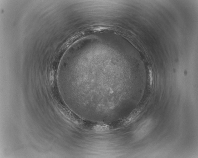 X0000056330271200508261228