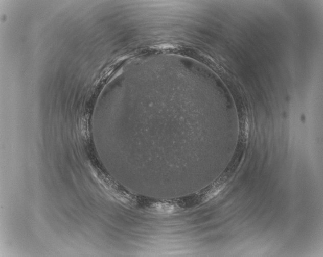 X0000056330272200508261228