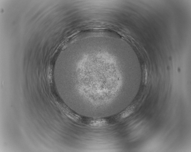 X0000056330274200508261228