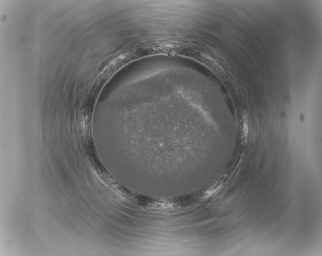 X0000056330276200508261228